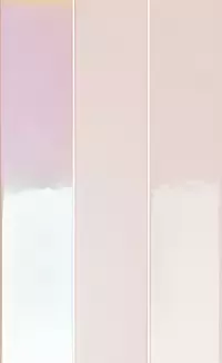 Tile 41zero42 Spectre Rose Hologram 5x25 / 41zero42 Spectre Rose Hologram 5x25 (4100730)