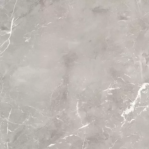 Porcelain stoneware Ariana Epoque Grey 60x60 / Ariana Epoque Grey 60x60 (PF60004309)