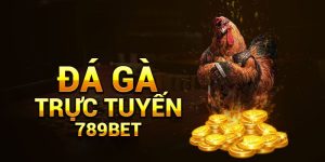 Gii thiu chung v h thng cc Dá Gà Casino 789bet