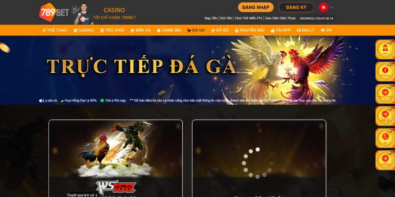 Quy trình d t^an binh tham gia dt cc Dá Gà Casino 789bet