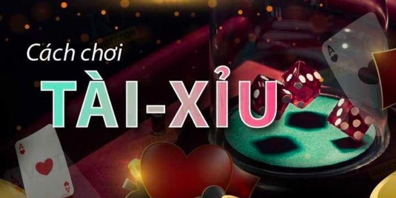 Nm k hng dn cách dánh tài xu