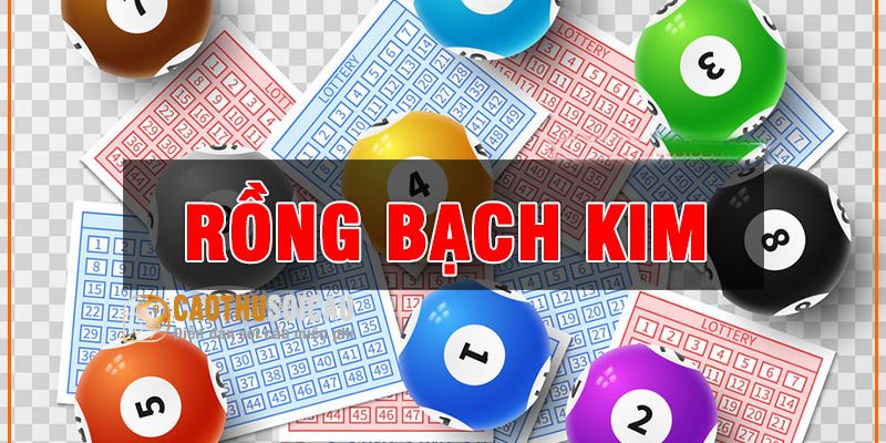 Rng bch kim là trang soi cu l^o có tính chính xác cao 