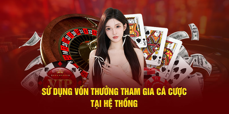 S dng vn thng tham gia cá cc ti h thng 