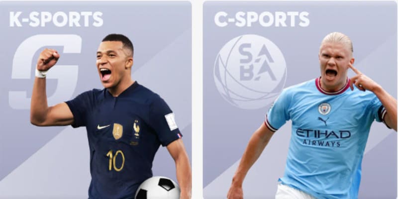 Nhà cái da ra nhiu mc cc d hi viên la chn